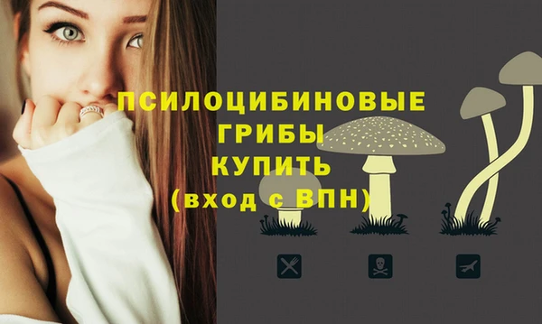 mdpv Куйбышев